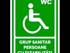 Indicator verde grup sanitar persoane cu dizabilitati